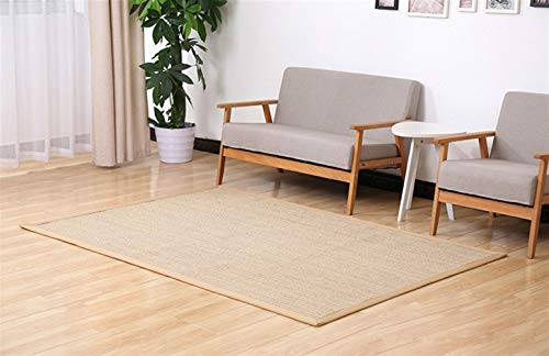 LIVEINU Sisal Natur Teppich mit rutschfest Sisalteppich Modern Hochwertige Bordüre Flachgewebe Sisal Läufer Teppich Fußmatten Für Schlafzimmer 60x90cm Beige von LIVEINU