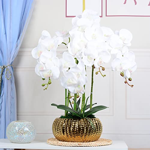 LIVILAN Künstliche Blumen, künstliche Orchidee, weiße Orchidee, Seidenorchidee, Phalaenopsis-Orchidee, Blume für Heimdekoration, Küchendekoration, Tischdekoration, Weiß mit goldfarbener Vase LIVILAN Künstliche Blumen, künstliche Orchidee, weiße Orchidee, Seidenorchidee, Phalaenopsis-Orchidee, Blume für Heimdekoration, Küchendekoration, Tischdekoration, Weiß mit goldfarbener Vase von LIVILAN