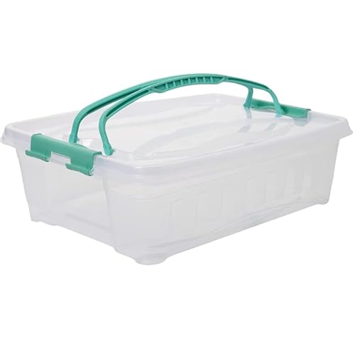 LIVINJA Kuchen Transportbox 1er Tortenbehälter, Kuchencontainer Set, Transportbehälter mit Deckel & klappbaren Griffen, Made in Europe von LIVINJA