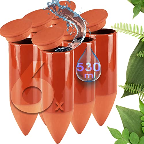 LIVONDO Terracotta Gießhilfe (6X 530 ml) handgefertigt für Bewässerung Zimmerpflanzen | Wasserstandsanzeiger Pflanzen | Watering can | Gießkanne Zimmerpflanzen von LIVONDO