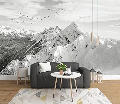 Fototapete 3d Effekt Tapeten Schwarz-Weiß-Landschaft Mit Fliegenden Vögeln In Schneebedeckten Bergen Tapete Wandtapete Wand Dekoration Schlafzimmer Wohnzimmer Wandbilder Wallpaper Wanddeko 430x300cm von LIWALLPAPER