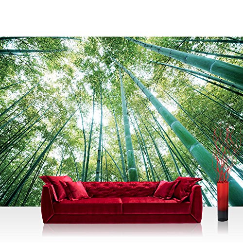 Fototapete 368x254 cm PREMIUM Wand Foto Tapete Wand Bild Papiertapete - Wald Tapete Wald Bäume Himmel Bambus Natur grün - no. 410 von LIWWING