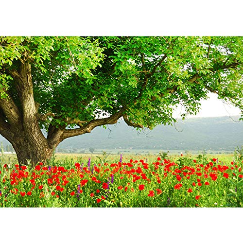 Vlies Fototapete 350x245 cm PREMIUM PLUS Wand Foto Tapete Wand Bild Vliestapete - A BEAUTIFUL TREE - Natur Mohn Feld Baum Wald Bäume rot grün Idyll - no. 090 von LIWWING