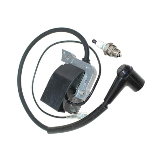 For DPC6200 DPC6201 DPC6400 DPC6401 DPC6410 DPC6411 DPC6430 DPC6431 DPC6440 DPC6441 DPC7301 DPC7310 Zündspule For DPC6200 DPC6201 DPC6400 DPC6401 DPC6410 DPC6411 DPC6430 DPC6431 DPC6440 DPC6441 DPC7301 DPC7310 Zündspule von LIWaaGe