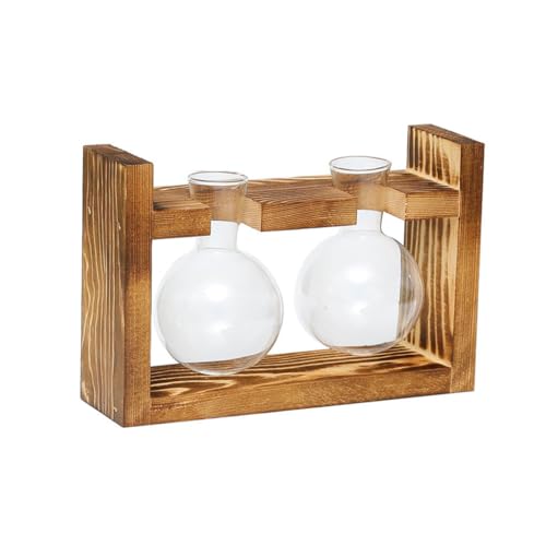 LIXSAZSE Holzrahmen Hydroponische Pflanze Terrarium Pflanzer Vase Blumentopf Transparenter Bastelbehälter Desktop Büro Geschenke Ornamente, Doppelkugelvase von LIXSAZSE
