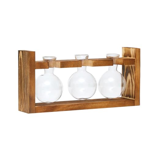LIXSAZSE Holzrahmen Hydroponische Pflanze Terrarium Pflanzer Vase Blumentopf Transparenter Bastelbehälter Desktop Büro Geschenke Ornamente, Vase mit DREI Kugeln von LIXSAZSE