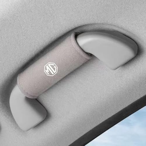 2 Stück Auto-Haltegriff-Abdeckung für MG ZS 2017-2022 2023 2024, Griff und Griffverkleidung Türgriff-Abdeckung linke und rechte Seite,Grey 2 Stück Auto-Haltegriff-Abdeckung für MG ZS 2017-2022 2023 2024, Griff und Griffverkleidung Türgriff-Abdeckung linke und rechte Seite,Grey von LIYANGT1