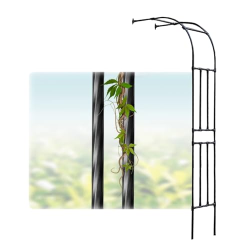 LIYI929GP Rosenbogen Halbbogen Gartenbogen | Rankhilfe Rankgitter Für Kletterpflanzen | Halbrosenbogen Metall Spalier Wandbogen | Robust Rosen Torbogen Rankgitter Für Klettern Gemüse Blumen Obst Rebe von LIYI929GP