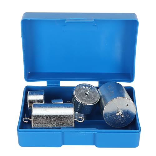 7pcs Set Double Haken Gewicht Set verchromtes Stahlhakengewicht für die allgemeine Wissenschaftsphysik Laborarbeit mit Fall von LIYJTK