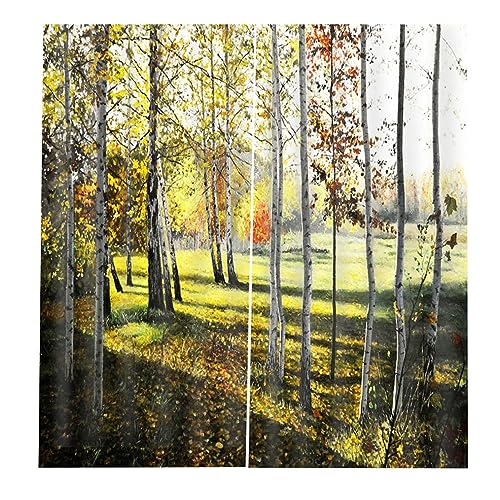 LIYJTK Moderne Wohnzimmer Schlafzimmer Fenster voller Schatten Druckvorhang Luxus weiche glänzende Block Leichte sichere Private Raum einfach installieren [Home Textile Fenster (170 * 200 cm) von LIYJTK