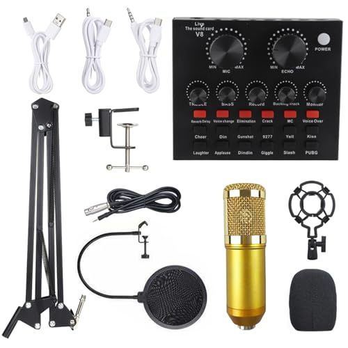 Multifunktionale Suspension Live -Soundkarte und Aufnahme von Mikrofonkit Intelligenter Audio -Mixer -Soundkarte für PC Live (Gold) von LIYJTK