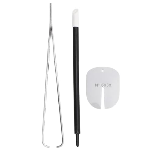 Uhrfederstab-Zange aus Edelstahl Leichte Uhr Federbar-Pinzette-Werkzeug zur Uhren reparatur, profession elle Edelstahl-Uhr-Feder-Bar-Pinzette Uhrfederstab-Zange aus Edelstahl Leichte Uhr Federbar-Pinzette-Werkzeug zur Uhren reparatur, profession elle Edelstahl-Uhr-Feder-Bar-Pinzette von LIYJTK