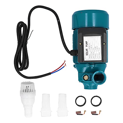 Wasserpumpe im Laufrad Motor sauberes Wasserpumpe Bewässerungsinstrument DC Fließpumpe 180 W 12 V von LIYJTK