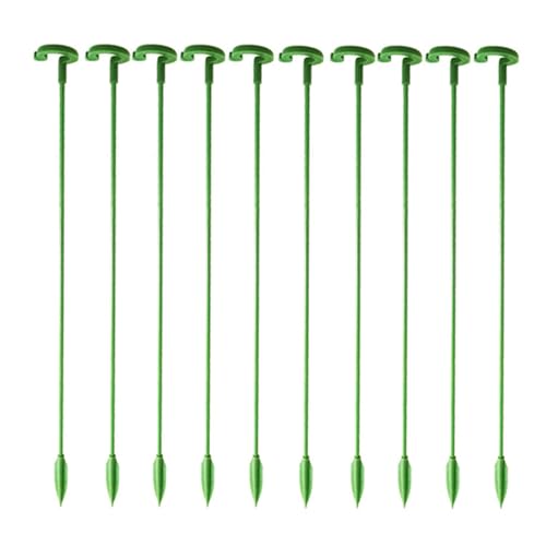 10 x vertikale Pflanzenstecker für Innen- und Außenbereich, für Tomaten, Bohnen, Blumen 10 x vertikale Pflanzenstecker für Innen- und Außenbereich, für Tomaten, Bohnen, Blumen von LIbgiubhy