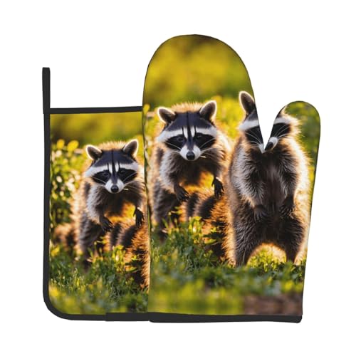 Ofenhandschuhe und Topflappen-Set mit niedlichem Waschbär-Druck, ideales Geschenk für Köche von LJABCVNN