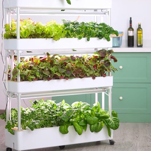 Hydroponischer Anbau mit automatisierten LED-Wachstumslichtern, Vertikale Landwirtschaft für Indoor-Turmgärten, Intelligentes mehrschichtiges Pflanzgefäß, erdlose Anbauausrüstung,48holes Hydroponischer Anbau mit automatisierten LED-Wachstumslichtern, Vertikale Landwirtschaft für Indoor-Turmgärten, Intelligentes mehrschichtiges Pflanzgefäß, erdlose Anbauausrüstung,48holes von LJCSSD