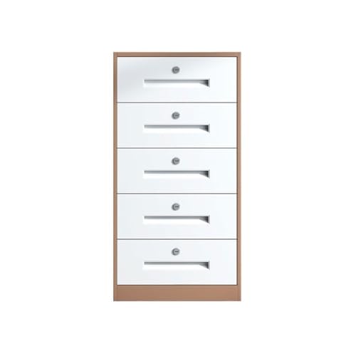LJHFG63KUYT Dokumente Kommode aus Stahl for Zuhause, Büro, erhöhte Kapazität, multifunktionaler Aufbewahrungsschrank, Aktendaten, Büroschrank für Schule(Bruin) von LJHFG63KUYT