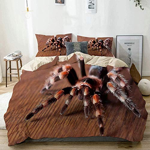 LJHHHH Bettbezug Spinnen-Vogelspinne Kinder bettwäsche Set 135 x 200 cm Mikrofaser Bettbezug Weiche Atmungsaktive Hypoallergen Bettbezug mit Reißverschluss Schließung und 2 Kissenbezug von LJHHHH