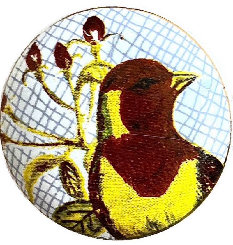 LK Trend & Style Möbelgriff aus Keramik für Schrank und Schublade (Spar-Set), neuer Möbelknopf neues Design von LK Trend & Style