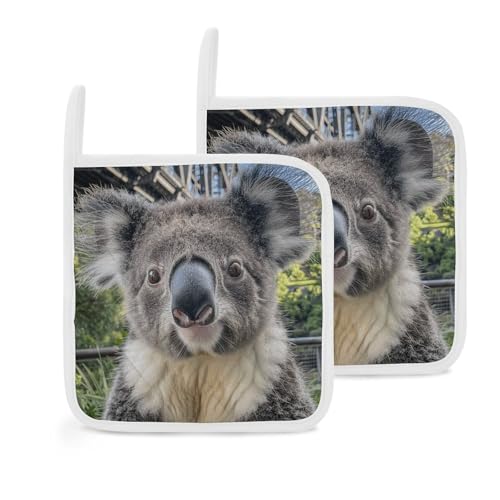 Koala Portrait Bild Topflappen 2er Set, Hitzebeständige Küche Topflappen mit Aufhängeschlaufen, Langlebige Ofen Hot Pads zum Kochen, Backen, Grillen von LKHDS