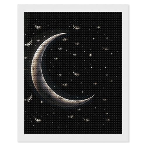 LKHDS Diamant-Malerei-Set für Erwachsene, Halbmond auf schwarzem Hintergrund, Vollbohrer, DIY-Diamantkunst, 5D-Edelsteinkunst und Handwerk für Heimdekoration, 40,6 x 50,8 cm LKHDS Diamant-Malerei-Set für Erwachsene, Halbmond auf schwarzem Hintergrund, Vollbohrer, DIY-Diamantkunst, 5D-Edelsteinkunst und Handwerk für Heimdekoration, 40,6 x 50,8 cm von LKHDS