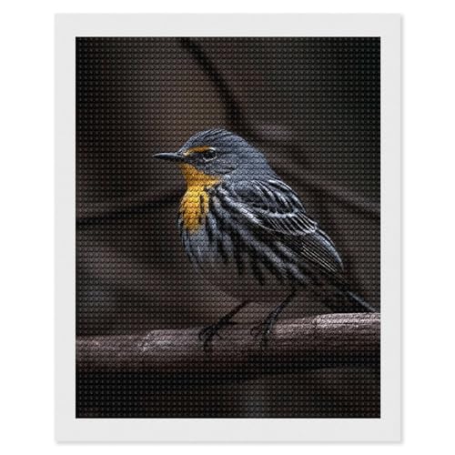 LKHDS Diamant-Malerei-Set für Erwachsene, Motiv: Vogel auf Ast, runder Bohrer, DIY-Diamantkunst, 5D-Edelsteinkunst und Handwerk für Heimdekoration, 40,6 x 50,8 cm LKHDS Diamant-Malerei-Set für Erwachsene, Motiv: Vogel auf Ast, runder Bohrer, DIY-Diamantkunst, 5D-Edelsteinkunst und Handwerk für Heimdekoration, 40,6 x 50,8 cm von LKHDS