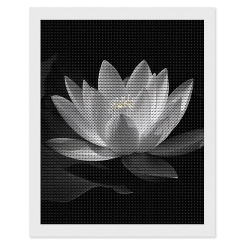 LKHDS Diamant-Malerei-Set mit schwarzen Blumen für Erwachsene, runder Bohrer, DIY-Diamantkunst, 5D-Edelsteinkunst und Handwerk für Heimdekoration, 40,6 x 50,8 cm LKHDS Diamant-Malerei-Set mit schwarzen Blumen für Erwachsene, runder Bohrer, DIY-Diamantkunst, 5D-Edelsteinkunst und Handwerk für Heimdekoration, 40,6 x 50,8 cm von LKHDS