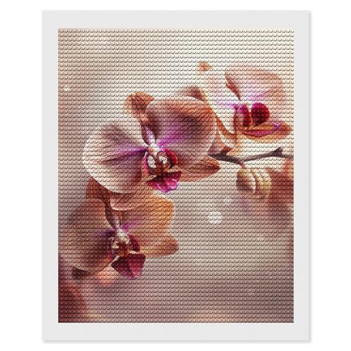 LKHDS Diamant-Malset Orchidee auf Hintergrund, für Erwachsene, runder Bohrer, DIY-Diamantkunst, 5D-Edelsteinkunst und Handwerk für Heimdekoration, 40,6 x 50,8 cm LKHDS Diamant-Malset Orchidee auf Hintergrund, für Erwachsene, runder Bohrer, DIY-Diamantkunst, 5D-Edelsteinkunst und Handwerk für Heimdekoration, 40,6 x 50,8 cm von LKHDS