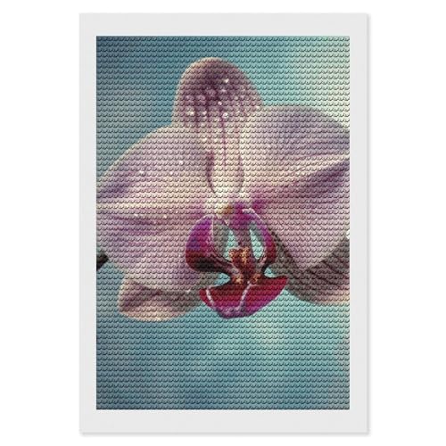 LKHDS Ein blühendes Blumen-Diamantgemälde-Set für Erwachsene, runder Bohrer, DIY-Diamantkunst, 5D-Edelsteinkunst und Handwerk für Heimdekoration, 20,3 x 30,5 cm LKHDS Ein blühendes Blumen-Diamantgemälde-Set für Erwachsene, runder Bohrer, DIY-Diamantkunst, 5D-Edelsteinkunst und Handwerk für Heimdekoration, 20,3 x 30,5 cm von LKHDS