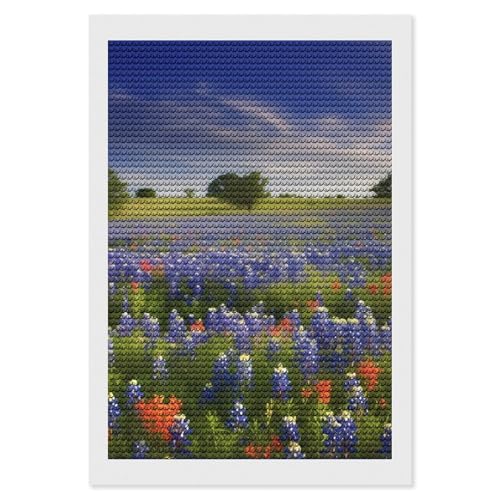 LKHDS Texas Bluebonnets Landschafts-Diamant-Malerei-Set für Erwachsene, vollständiger runder Bohrer, DIY-Diamantkunst, 5D-Edelsteinkunst und Handwerk für Heimdekoration, 20,3 x 30,5 cm LKHDS Texas Bluebonnets Landschafts-Diamant-Malerei-Set für Erwachsene, vollständiger runder Bohrer, DIY-Diamantkunst, 5D-Edelsteinkunst und Handwerk für Heimdekoration, 20,3 x 30,5 cm von LKHDS
