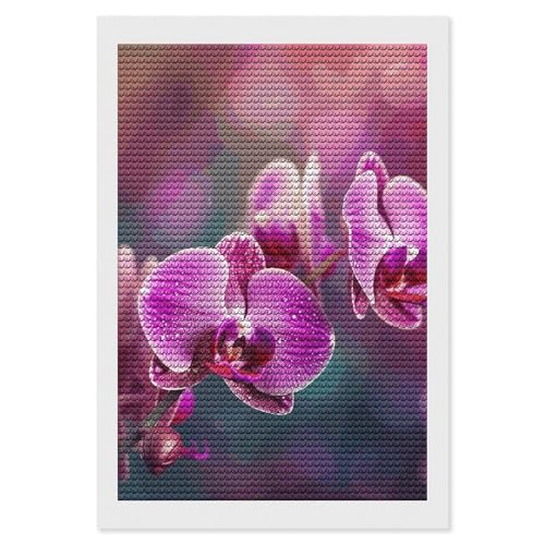 LKHDS Wunderschönes Blumen-Diamant-Malset für Erwachsene, runder Bohrer, DIY-Diamantkunst, 5D-Edelsteinkunst und Handwerk für Heimdekoration, 20,3 x 30,5 cm LKHDS Wunderschönes Blumen-Diamant-Malset für Erwachsene, runder Bohrer, DIY-Diamantkunst, 5D-Edelsteinkunst und Handwerk für Heimdekoration, 20,3 x 30,5 cm von LKHDS