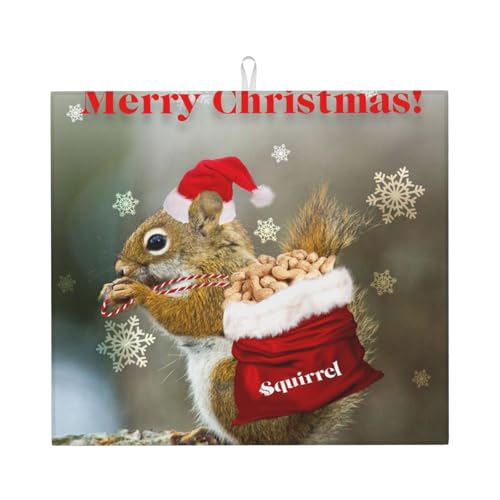 Weihnachts-Eichhörnchen-Abtropfmatte für Küche – schöne volldruckabsorbierende Abtropfmatte, hält Theken trocken und stilvoll von LKLDDPZB