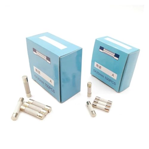 LKLNCXC Sicherungen, 100 Stück, für Karton, Rohr, schnelle Blasrohrsicherungen, 5 x 20 mm, 6 x 30 mm, 250 V, 0,5/1/2/3/4/5/6/8/10/15/20/25/30 A (100 Stück 6 x 30,8 A) von LKLNCXC