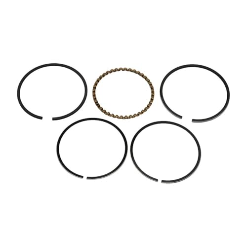 LKMBvxF 5 Stück 39 mm Kolbenringsatz für H-nda GX31 GX35 GX35NT UMK431 UMT431 UMK435 HHT35S Trimmer Freischneider # 13010-ZM5-000 LKMBvxF 5 Stück 39 mm Kolbenringsatz für H-nda GX31 GX35 GX35NT UMK431 UMT431 UMK435 HHT35S Trimmer Freischneider # 13010-ZM5-000 von LKMBvxF