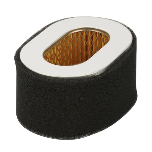 LKMBvxF Luftfilter Passt Motor Ersetzen 114650-12540 Garten Werkzeug Zubehör Luftfilter Reiniger(2PCS) von LKMBvxF