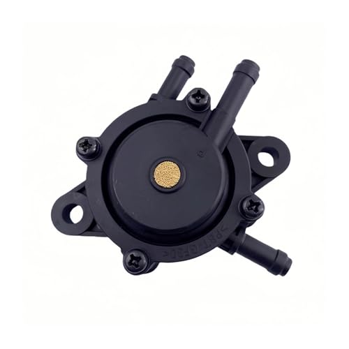 LKMBvxF Pumpe Kleinmotor Rasenmäher Traktor mit Filter für B&S 491922 691034 692313 808492 808656 LKMBvxF Pumpe Kleinmotor Rasenmäher Traktor mit Filter für B&S 491922 691034 692313 808492 808656 von LKMBvxF