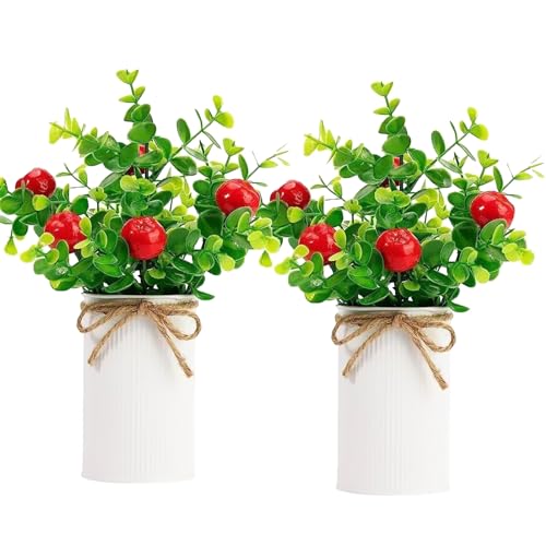LKPOMI 2 Stück Künstliche Obstbäume Im Topf, Künstlicher Zitronen-Erdbeer-Orangen-Pfirsichbaum mit Eisen-Blumentopf, Kunstpflanzen für Den Innenbereich, für Zuhause, Büro,(Rote Äpfel) von LKPOMI