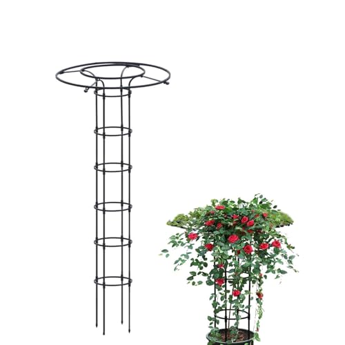 Rankhilfe for Kletterpflanzen im Freien,freistehend f. Kletterpflanzen,freistehend,für Blumen, Rose, Tomaten, Rankgitter, Topfspalier for Topfpflanzen(Size:120cm/47.2in) von LKUOU