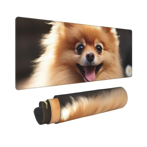 Gaming-Mauspad, erweiterte Volltastaturmatte mit genähten Kanten, Anime, große Schreibtischunterlage mit rutschfester Unterseite, Pomeranian Dog Mauspad für Gaming und Büro, 80 x 30 cm von LKVNSWERT