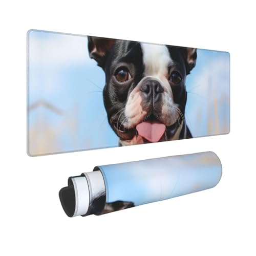 Gaming-Mauspad, erweiterte volle Tastaturmatte mit genähten Kanten, Anime, große Schreibtischunterlage mit rutschfester Unterseite, schönes Boston Terrier, Mauspad für Gaming und Büro, 80 x 30 cm von LKVNSWERT