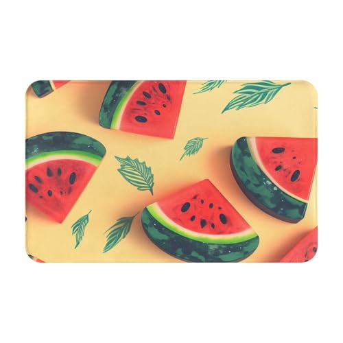 Fußmatte für den Innen- und Außenbereich, Sommer-Wassermelonen-Fußmatte, leicht zu reinigen, schmutz- und lichtbeständig, saugfähig, Flanell-Badematten, 49,5 x 80 cm von LKWSCGHM