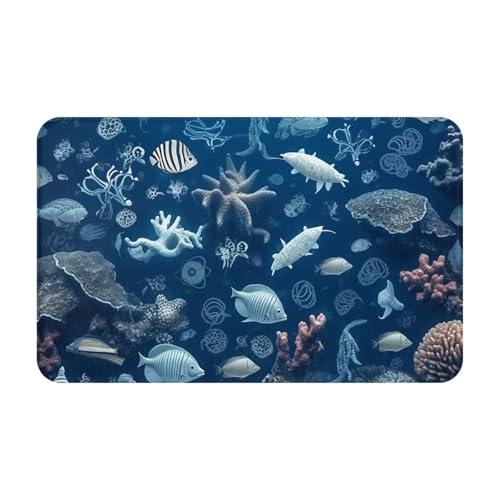 Fußmatte für den Innen- und Außenbereich, Unterwasser-Fußmatte, leicht zu reinigen, schmutz- und lichtbeständig, saugfähig, Flanell-Badematten, 49,5 x 80 cm von LKWSCGHM