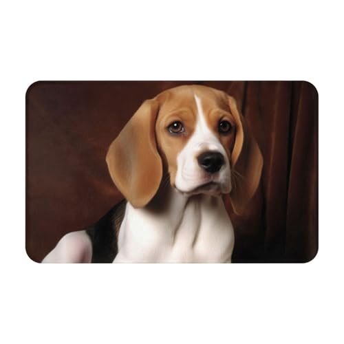Fußmatte für den Innen- und Außenbereich, ovely Haustier-Hunde-Beagle-Fußmatte, leicht zu reinigen, schmutz- und lichtbeständig, saugfähig, Flanell-Badteppich, 49,5 x 80 cm Fußmatte für den Innen- und Außenbereich, ovely Haustier-Hunde-Beagle-Fußmatte, leicht zu reinigen, schmutz- und lichtbeständig, saugfähig, Flanell-Badteppich, 49,5 x 80 cm von LKWSCGHM