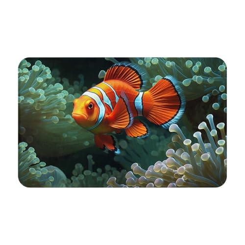 Fußmatte für drinnen und draußen, Fischhintergrund, leicht zu reinigen, schmutz- und lichtbeständig, saugfähig, Flanell-Badematten, 49,5 x 80,9 cm von LKWSCGHM
