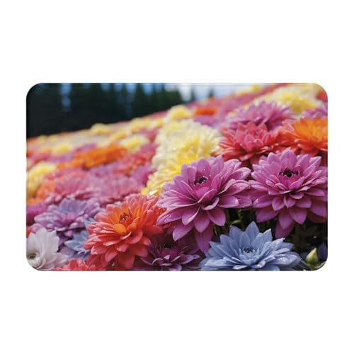 Fußmatte für drinnen und draußen, Motiv: Regenbogenblume, leicht zu reinigen, schmutz- und lichtbeständig, saugfähig, Flanell-Badematte, 49,5 x 80 cm von LKWSCGHM