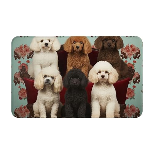 Fußmatte für drinnen und draußen, Pudel, Hunde-Fußmatte, leicht zu reinigen, schmutz- und lichtbeständig, saugfähig, Flanell-Badteppich, 49,5 x 80 cm Fußmatte für drinnen und draußen, Pudel, Hunde-Fußmatte, leicht zu reinigen, schmutz- und lichtbeständig, saugfähig, Flanell-Badteppich, 49,5 x 80 cm von LKWSCGHM