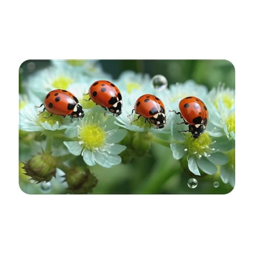 Fußmatte für drinnen und draußen, Sommer-Marienkäfer-Blumen, Fußmatte, leicht zu reinigen, schmutz- und lichtbeständig, saugfähig, Flanell-Badematten, 49,5 x 80 cm von LKWSCGHM