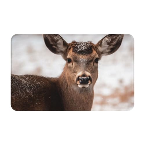 Fußmatte für drinnen und draußen, Wilde Tiere, Hirsch, leicht zu reinigen, schmutz- und lichtbeständig, saugfähig, Flanell-Badematten, 49,5 x 80,9 cm von LKWSCGHM