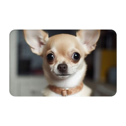 Fußmatte für drinnen und draußen, niedlicher Chihuahua-Fußmatte, leicht zu reinigen, schmutz- und lichtbeständig, saugfähig, Flanell-Badteppich, 49,5 x 80 cm Fußmatte für drinnen und draußen, niedlicher Chihuahua-Fußmatte, leicht zu reinigen, schmutz- und lichtbeständig, saugfähig, Flanell-Badteppich, 49,5 x 80 cm von LKWSCGHM