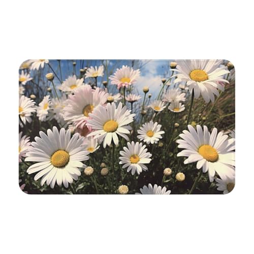 Fußmatte für drinnen und draußen, schöne Gänseblümchen-Fußmatte, leicht zu reinigen, schmutz- und lichtbeständig, saugfähig, Flanell-Badteppich, 49,5 x 80 cm von LKWSCGHM